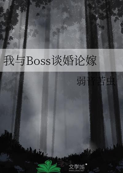 我与boss的