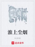 淮上主角名字