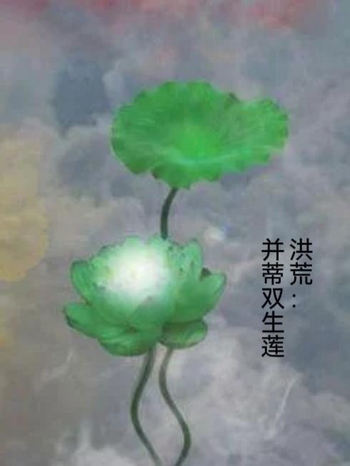 洪荒并蒂双生莲嘛