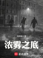 浓雾中文版