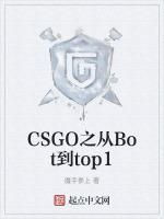 csgo bot等级