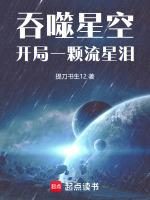 吞噬星空流星泪的