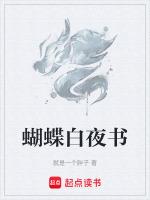 白夜破晓有书吗