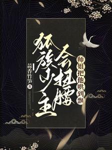 师姐别打了