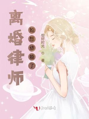 离婚律师她想结婚了阅读