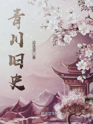 青川旧史讲的什么