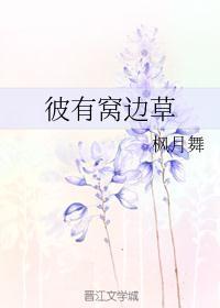 窝边草代表什么数字