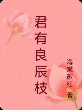 与君共度良辰时后一句