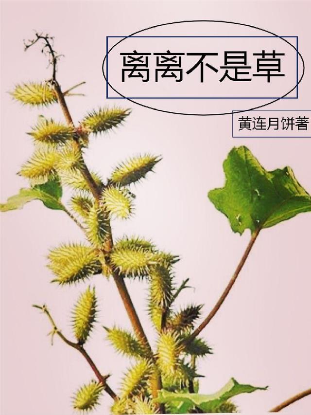 离离草是什么意思