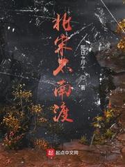 北宋不南渡 无弹窗