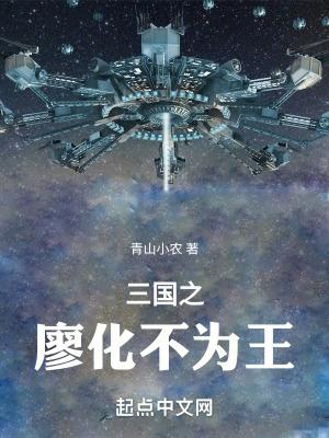 三国之廖化新传