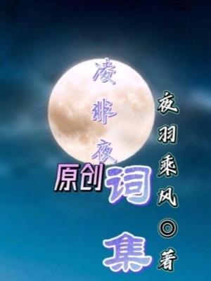 凌夜什么