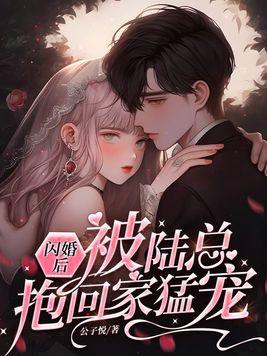 闪婚后 我成了陆少的心尖宠