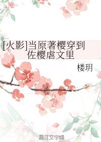 穿越火影之佐樱