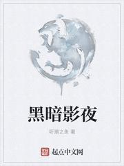 黑暗阴影怎么样