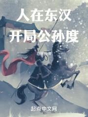 开局公孙度无防盗