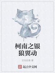 柯南之银狼翼动新平台