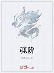 魂阶第2季