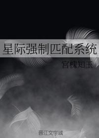 星际强制匹配系统宫槐知玉