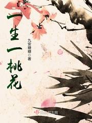 一生烂桃花完结破解版