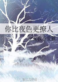 夜色撩人是什么歌