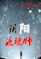 阴阳渡魂师无边河