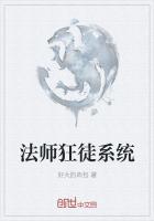 法师狂徒系统txt八零