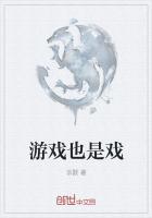 戏仔游戏公司