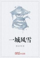 一城风雪是什么意思