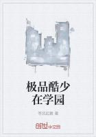 极品酷少在学园(任海)