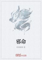 邪命风水师