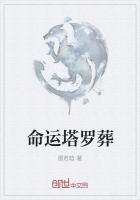 QQ老师塔罗你将到来的命运