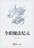 全职法师魔法新纪元