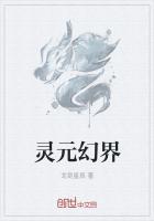 梦幻灵元是什么