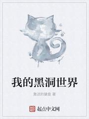 凹凸世界小黑洞介绍