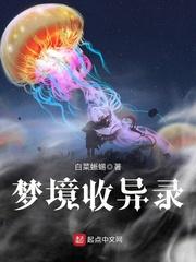 梦中录梦境