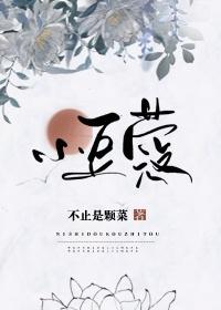 小豆蔻舒景然和谁在一起了