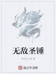 无敌圣锤免费阅读