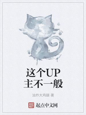 这个月up主的那本书