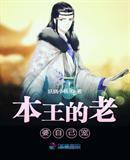 本王媳妇是将军