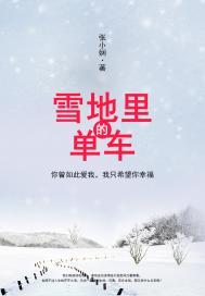 雪地里的单车讲的什么