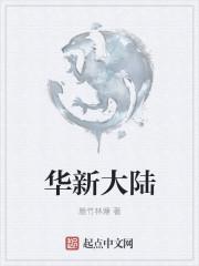 华新大厦是什么公司