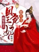 将军在上妃子