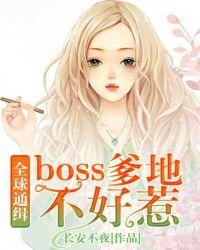 全球通缉：boss爹地不好惹