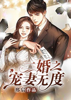 二婚之宠妻无度