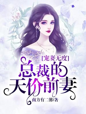 宠妻无度总裁的天价前妻