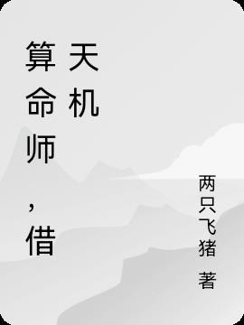 算命师，借天机