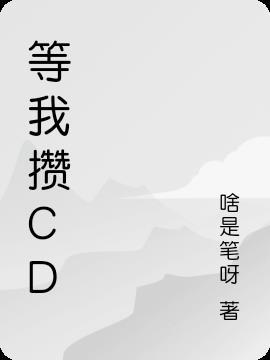 等我攒CD