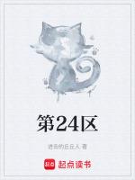 第24区